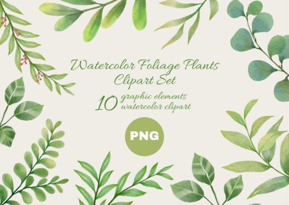 Download Watercolor Foliage Plants Clipart Set - Clipart Collection